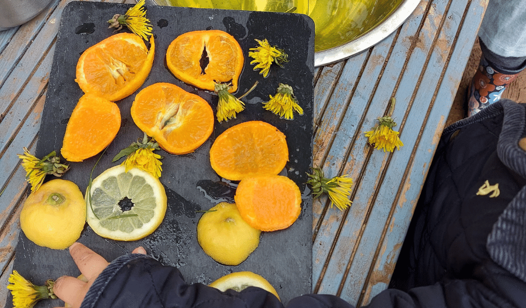 dandelions with citrus fruits on table