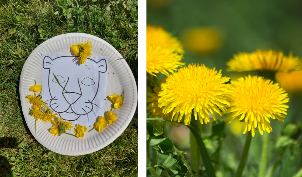 paper plate with lion drawing and dandilions