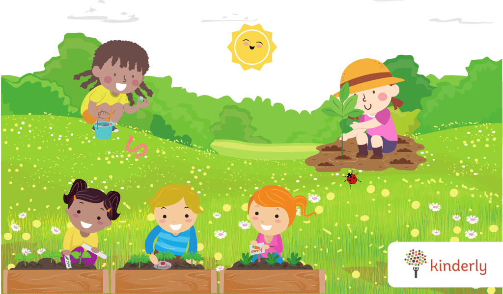 What is the Forest Kindergarten Approach Kinderly