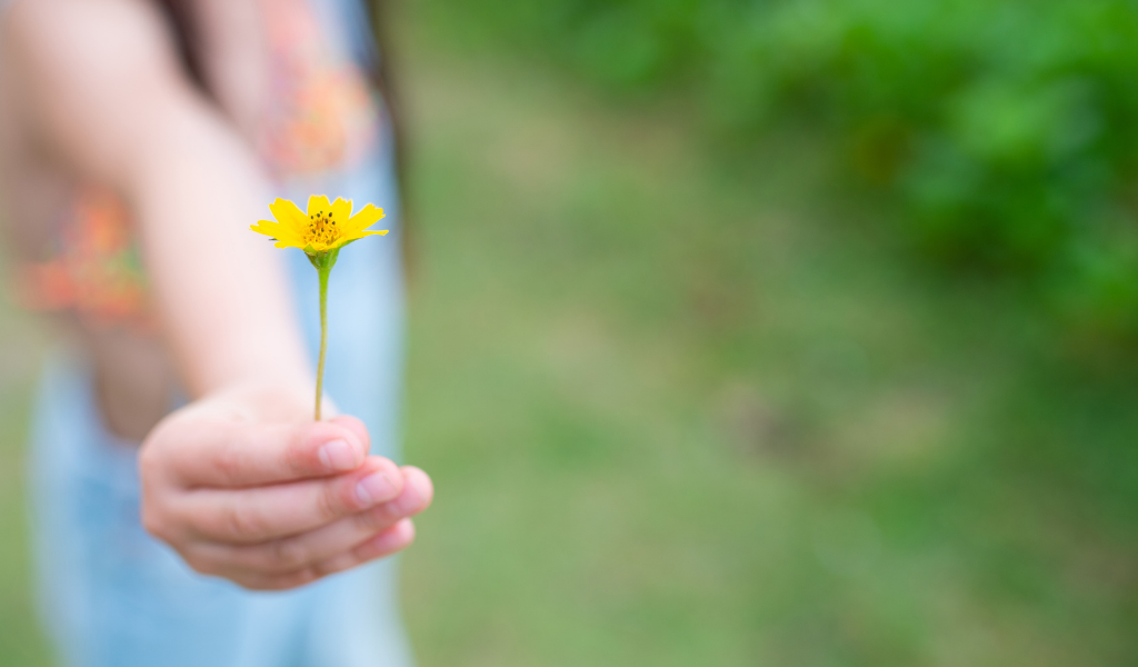 child hand offering a flower