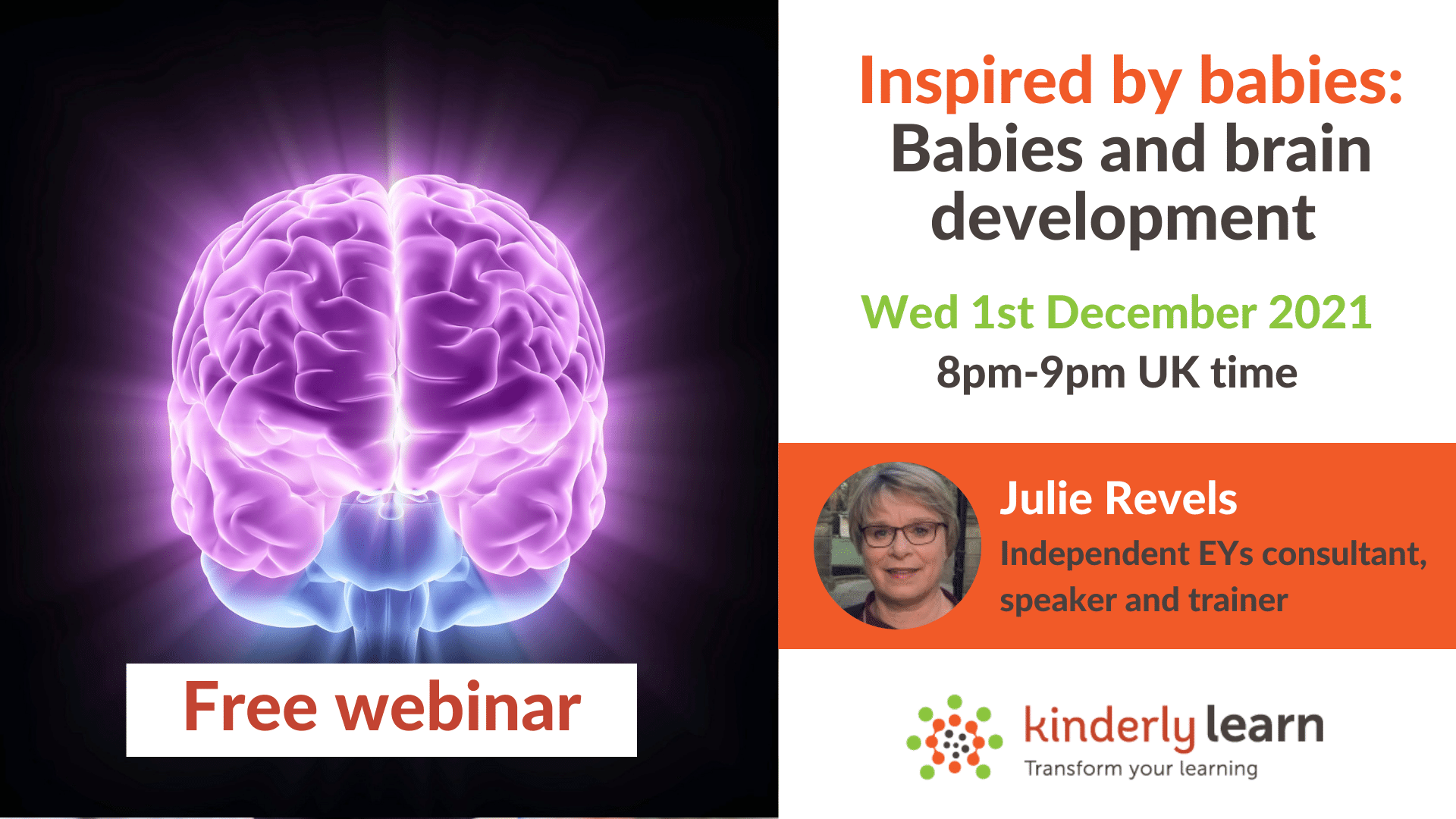 brain development webinar