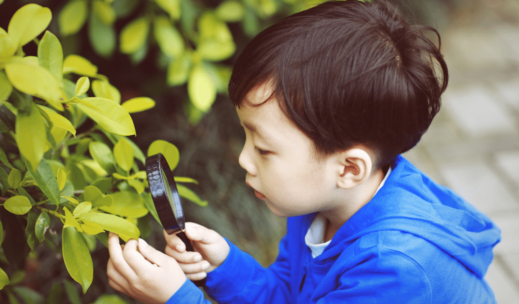 child outdoors looking at a leaf through a magnifying glass