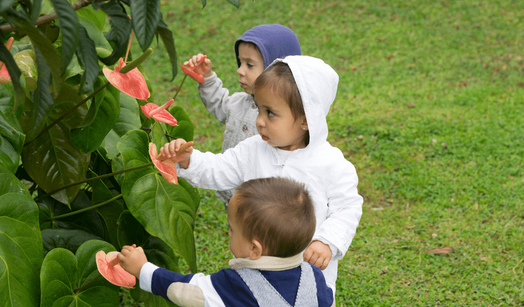 children observing a plant