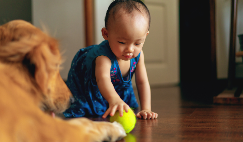 toddler playing with dog