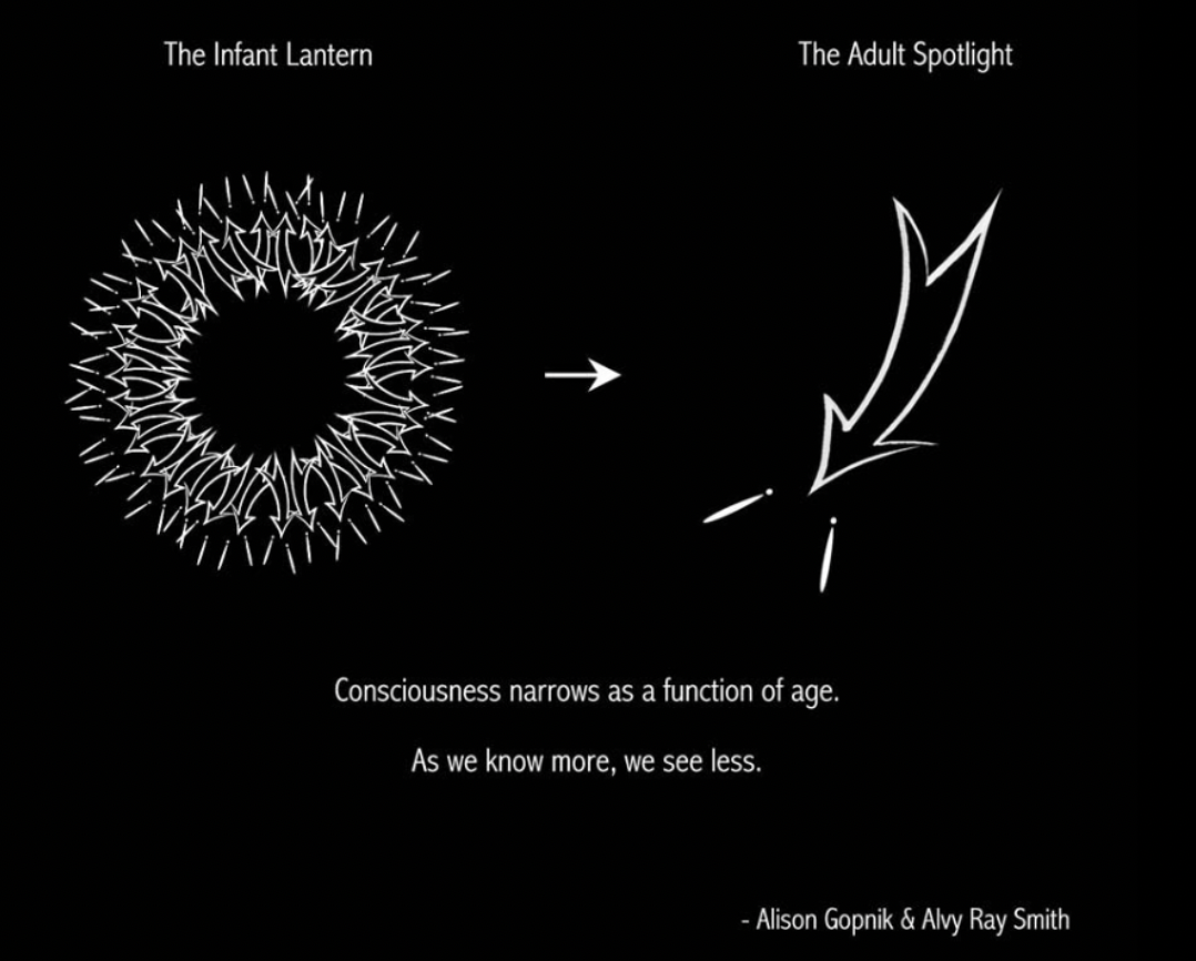 the lantern brain by Gopnik, A. (2009). 