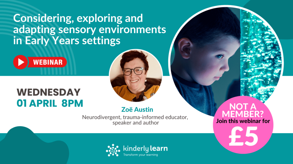 sensory environments webinar