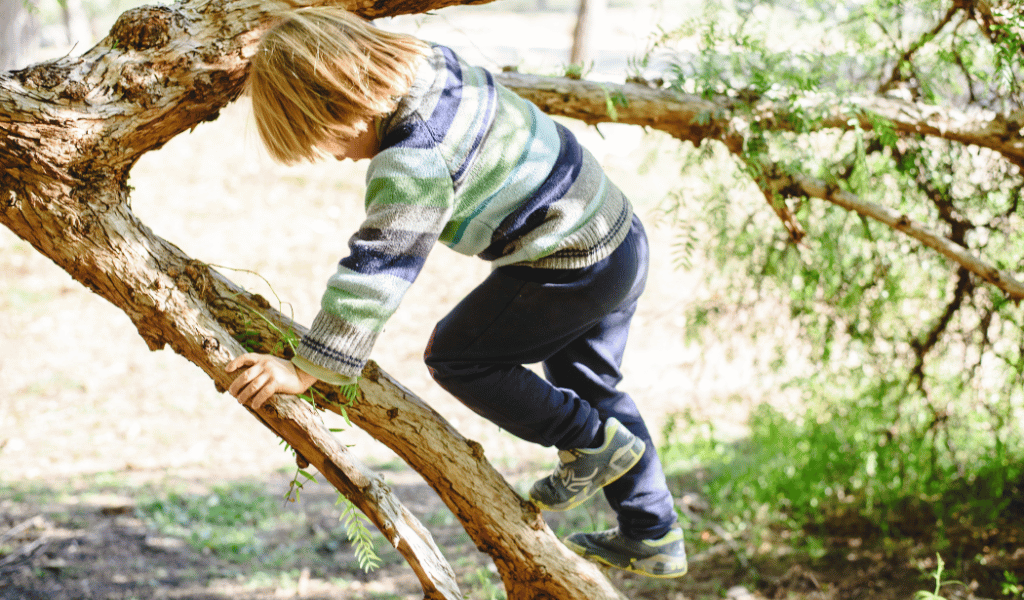 child climbing tree risky play