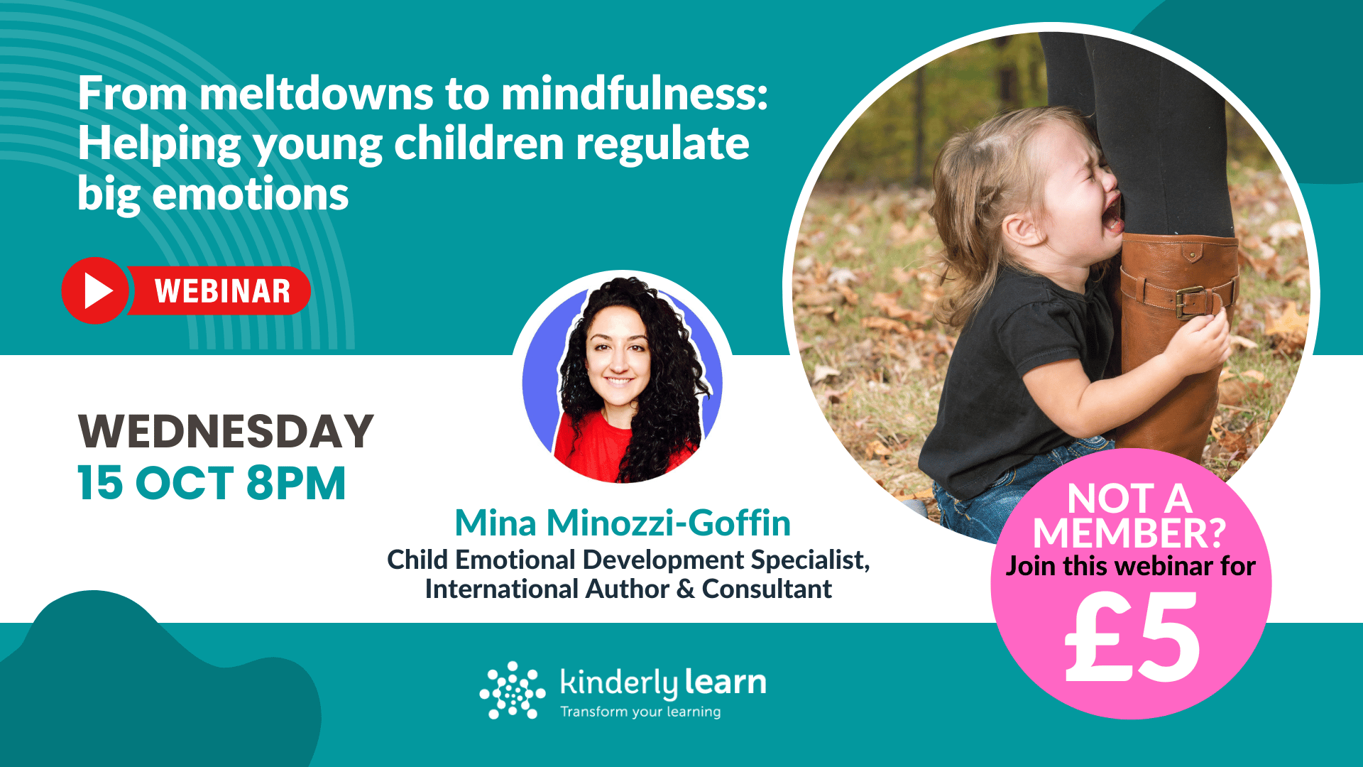 meltdown webinar with mina minozzi